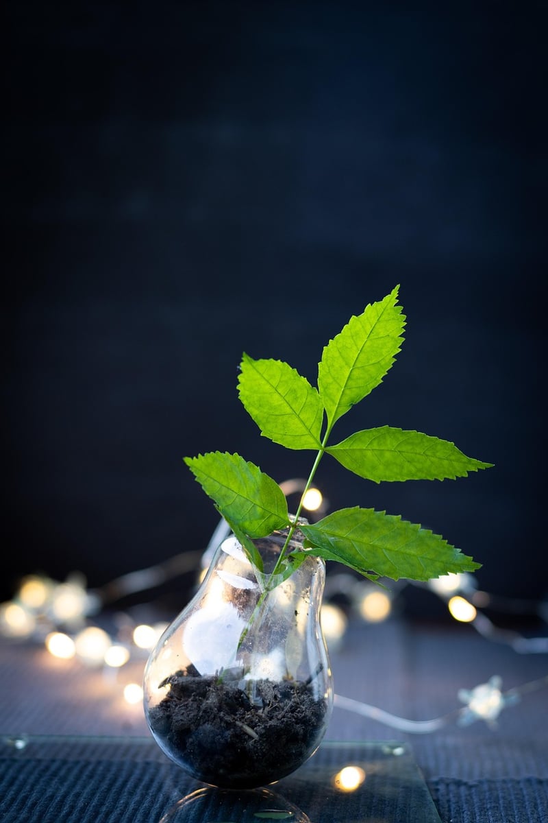 Upcycling Craft